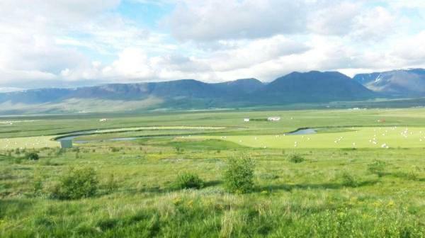 Flugumyri 2 Villa Varmahlíð Dış mekan fotoğraf